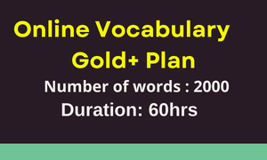 VOCABULARY GOLD PLUS