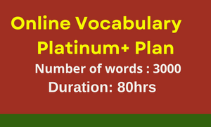 VOCABULARY PLATINUM PLUS