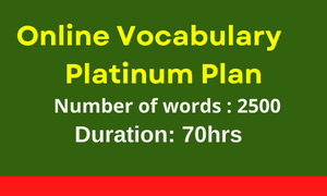 VOCABULARY PLATINUM