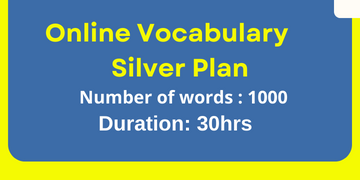 VOCABULARY SILVER